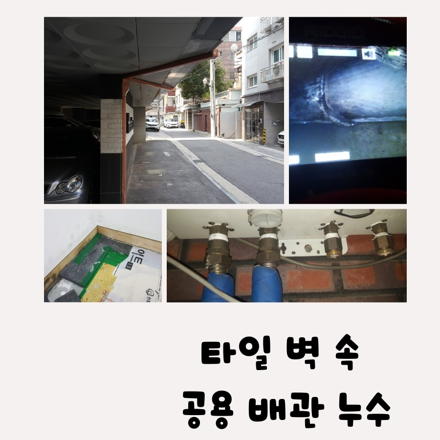 물왕동누수탐지 빌라 욕실 바닥 누수 점검 사진 3